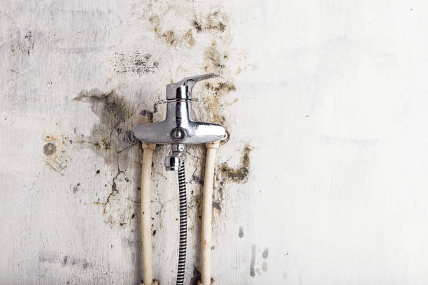 Best Mold Testing  in Contoocook, NH