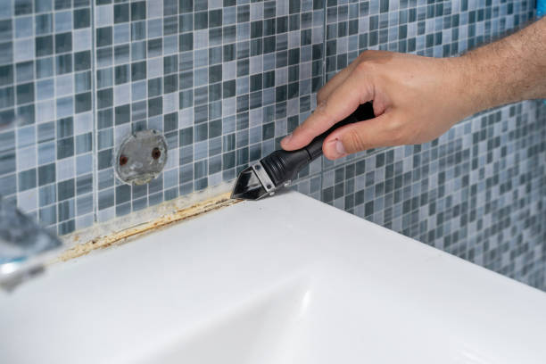 Best Mold Testing  in Contoocook, NH